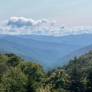 Meet your Posher, Carrie